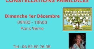 ATELIER DE CONSTELLATIONS FAMILIALES EN GROUPE – Dimanche 1er Décembre 2024 – 09h00 à 18h00 – Paris