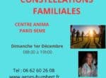 ATELIER DE CONSTELLATIONS FAMILIALES EN GROUPE – Dimanche 1er Décembre 2024 – 08h30 à 19h00 – Paris