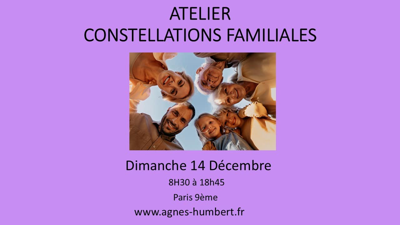 Constellations Familiales en groupe 14 Décembre 2025