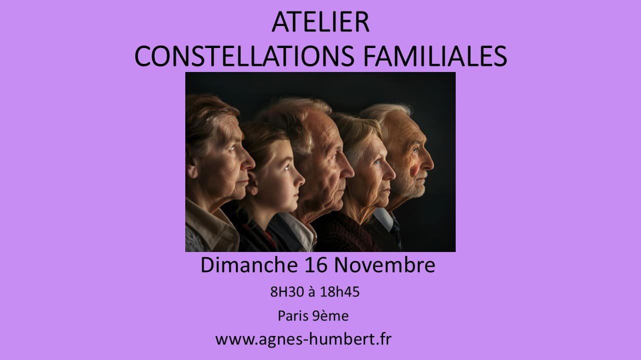 Constellations Familiales en groupe 16 novembre 25