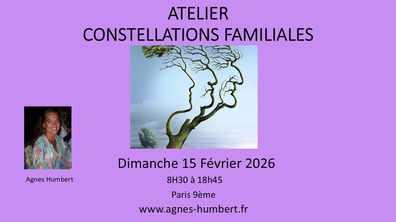 Constellations Familiales en groupe Paris 15 Février 2026
