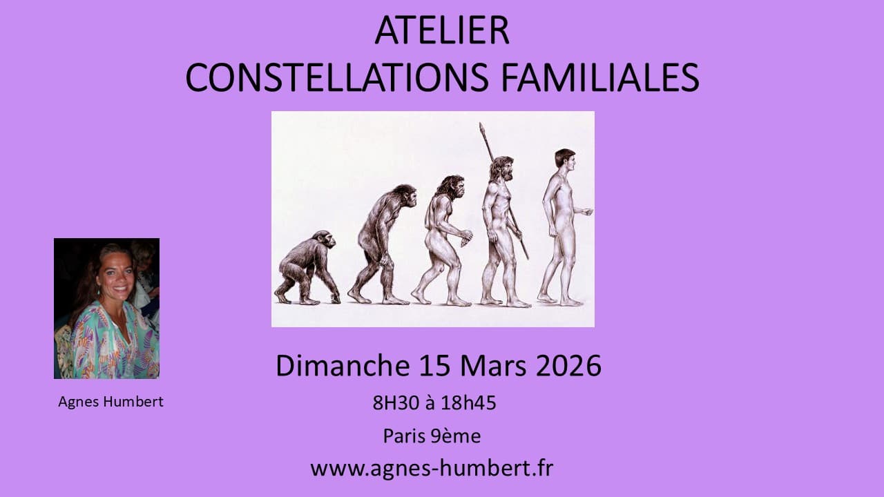 Constellations Familiales en groupe Paris 15 Mars 2026